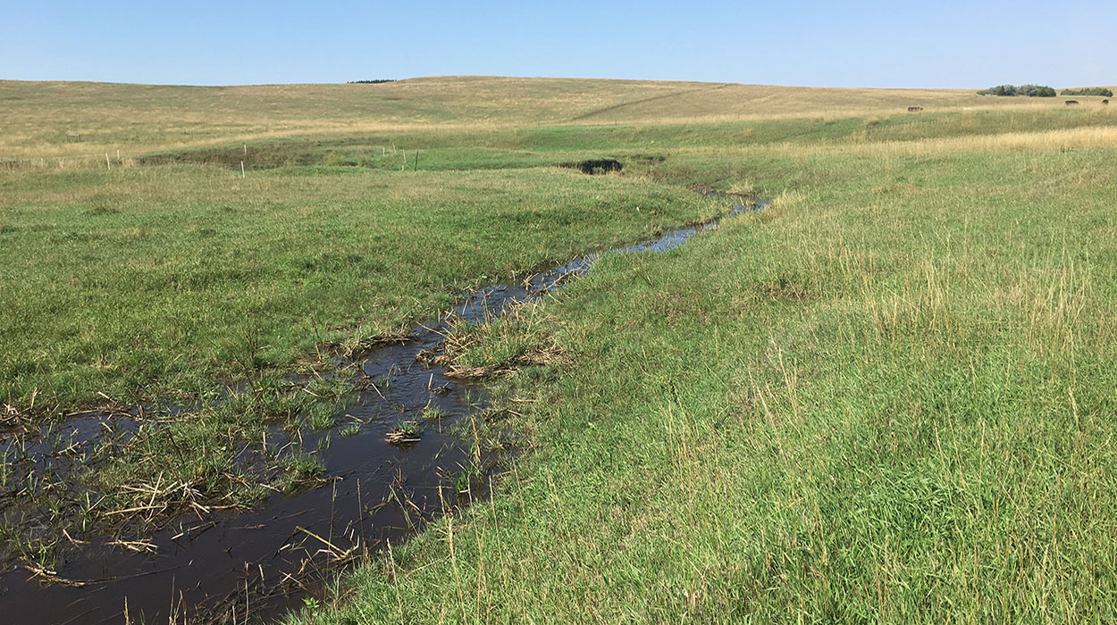 Rolling, drought-stressed pasture with new, green growth emerging in early fall.