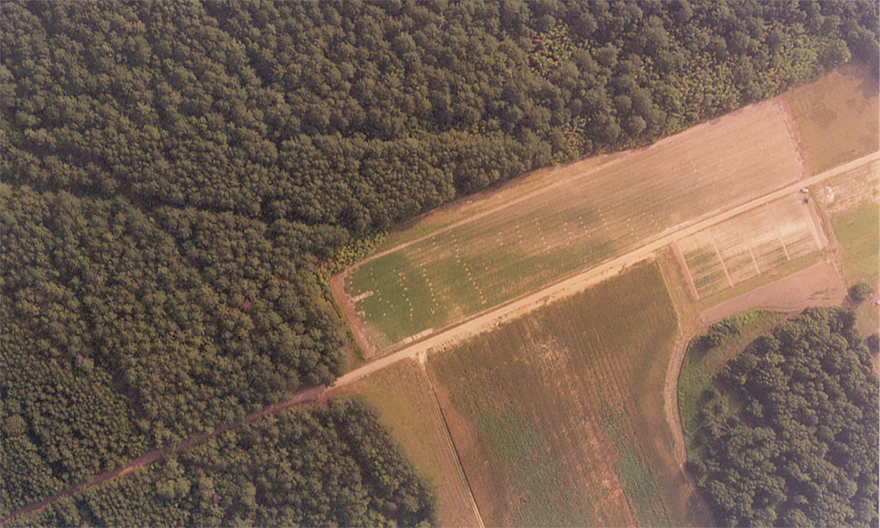 Aerial photo of a field revealing crop productivity within a specified management zone.