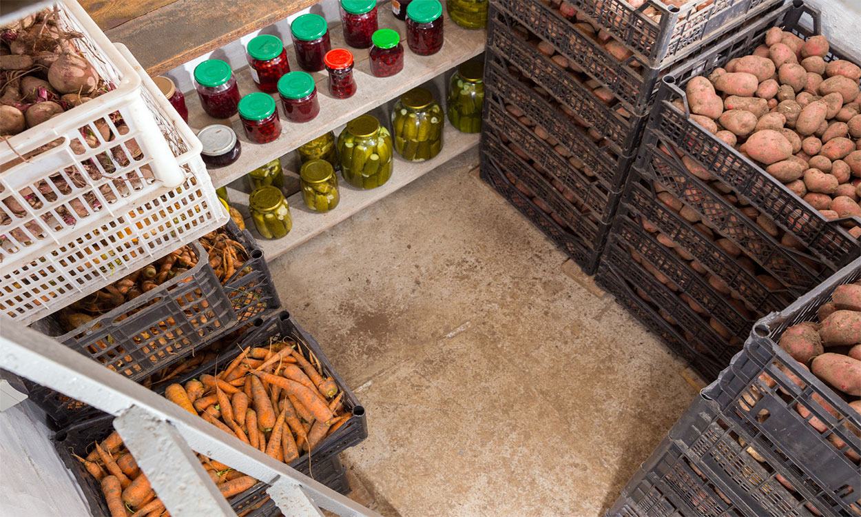 Fresh potatoes, carrots and canned vegetables in the cellar.