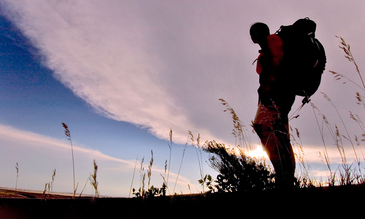 Young man with a backpack hiking through a park.