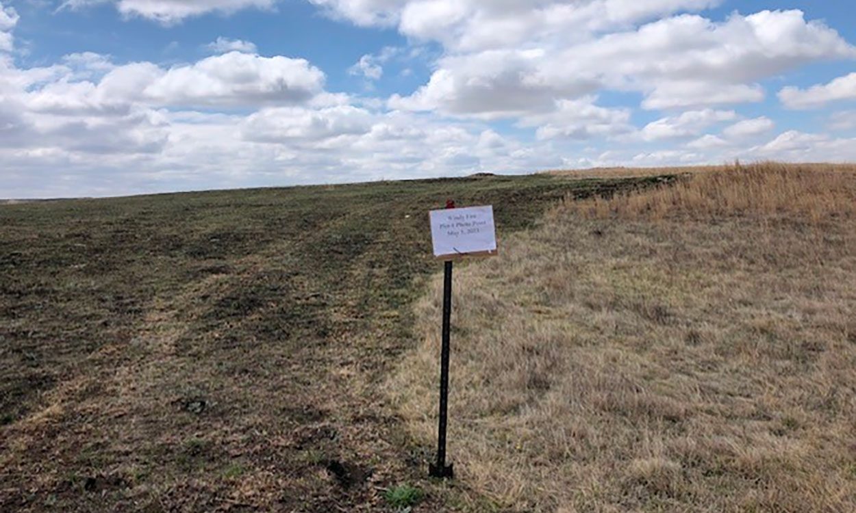 Photo showing a wildfire recovery on native rangelands.