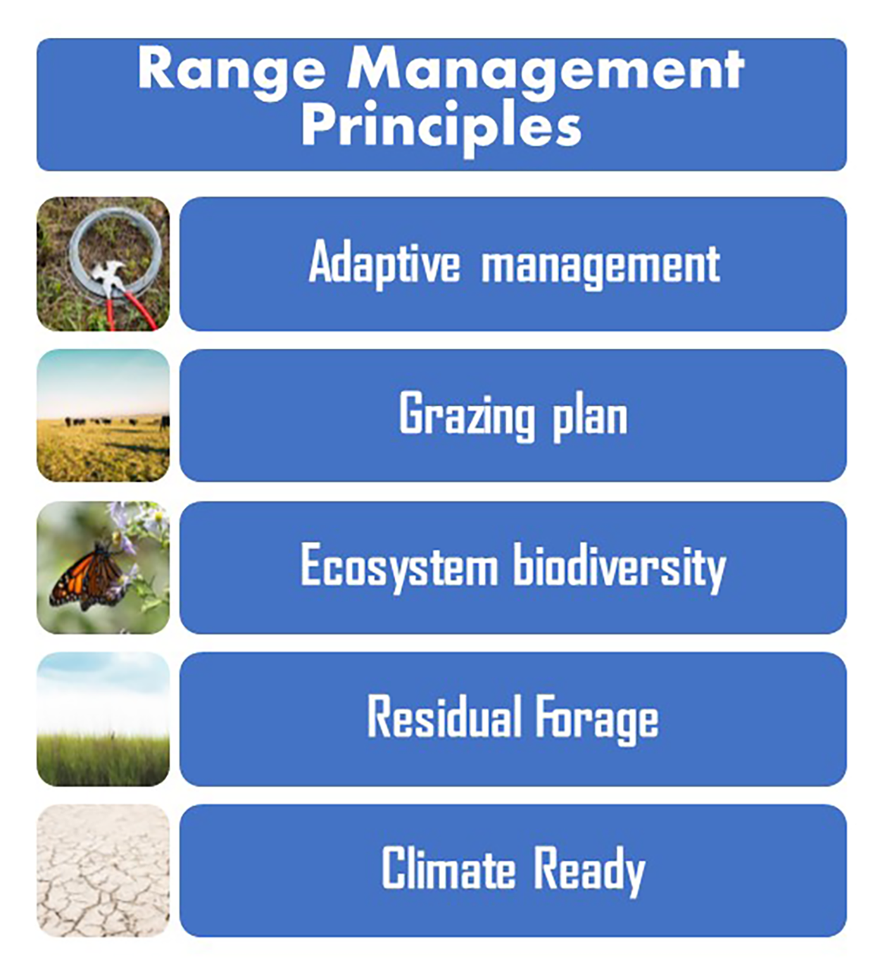 A chart showing the five range management principles, including: adaptive management, grazing plan, ecosystem biodiversity, residual forage and climate ready. For an in-depth description of this graphic, call SDSU Extension at 605-688-4792.