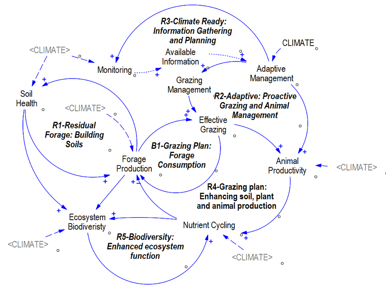 A map showing feedback loops from the five range management principles with blue arrows showing the complex interrelationships among the five principles. For an in-depth description of this graphic, call SDSU Extension at 605-688-4792.
