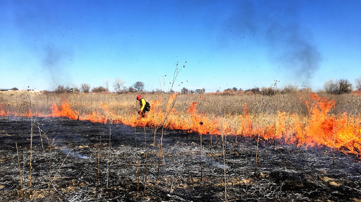 A prescribed burning taking place in a field.