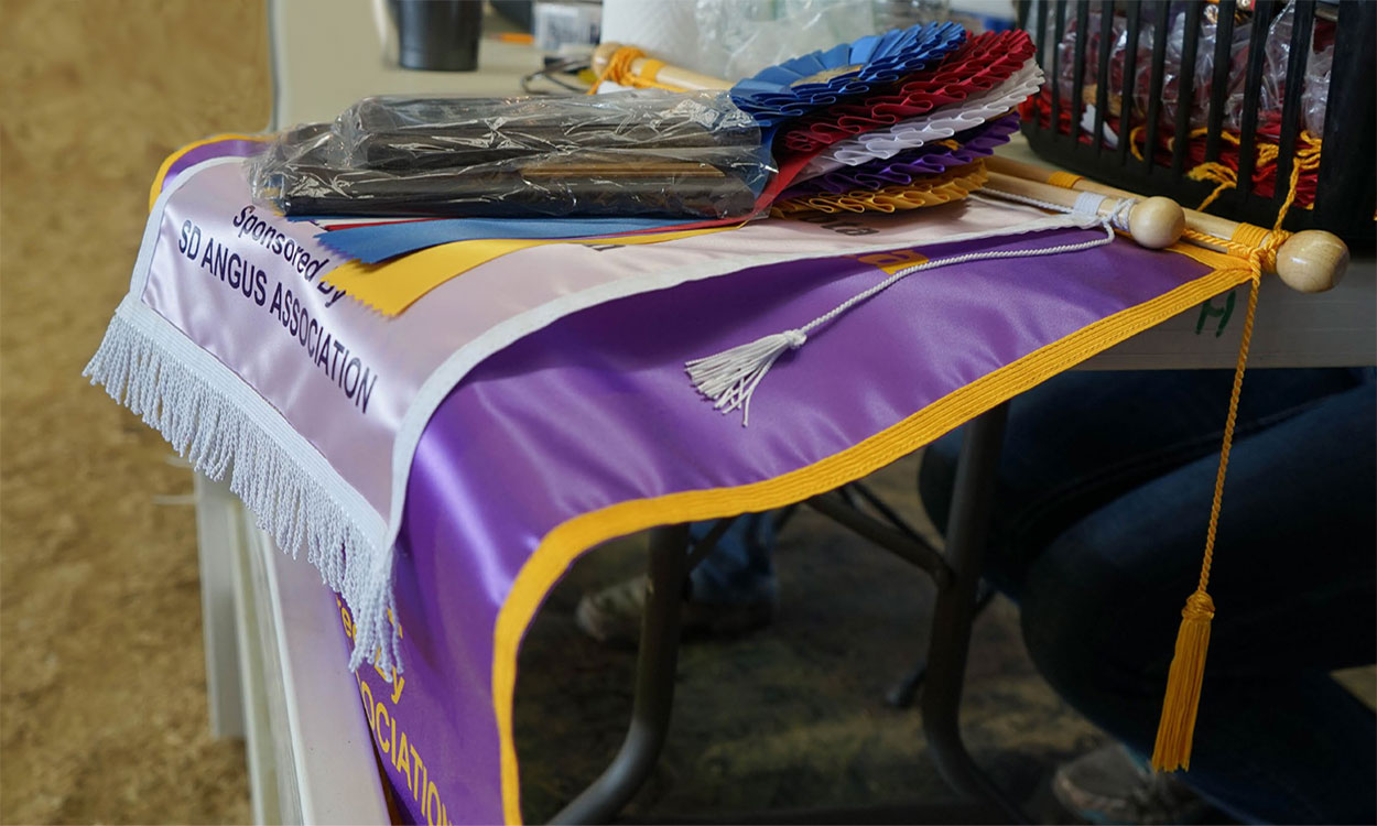 4-H ribbons and awards stacked on a table.