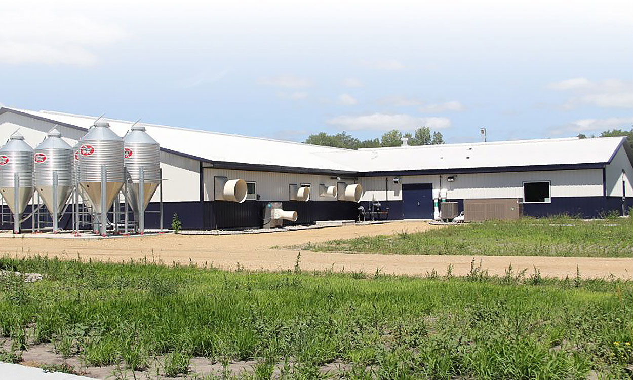 South Dakota State University on-site wean-to-finish barn.
