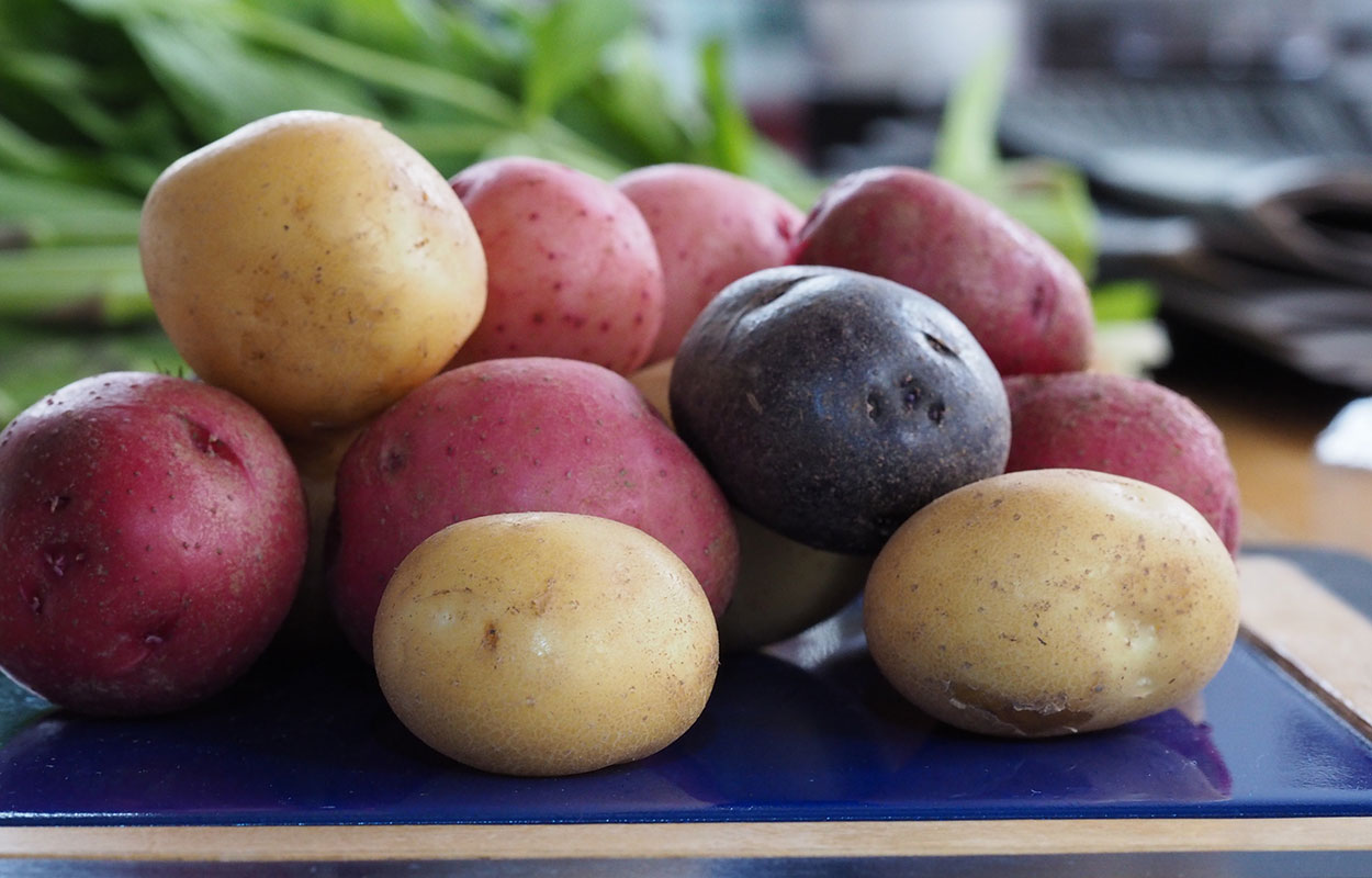 A variety of different potatoes arranged on a blue cutting board.