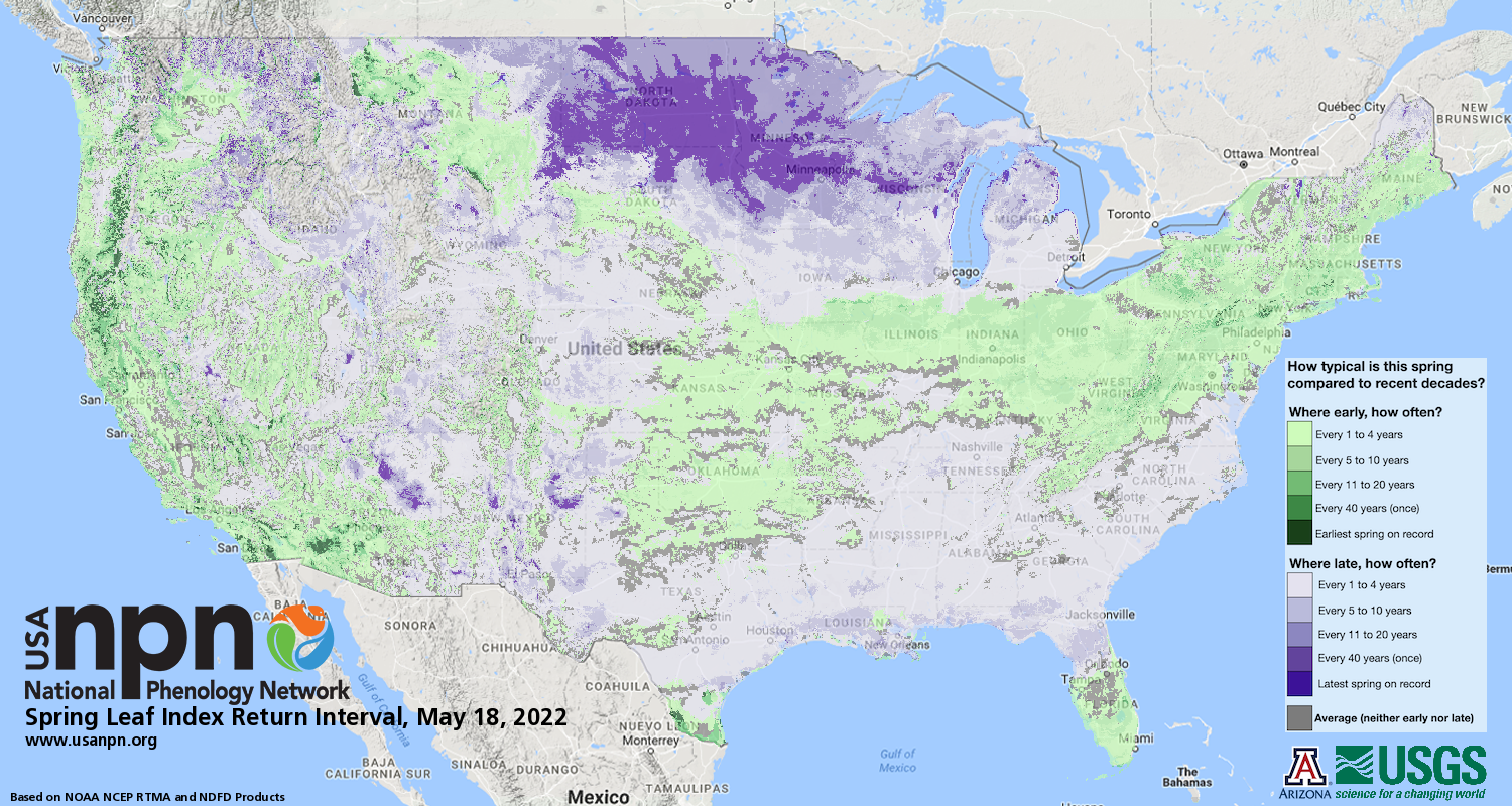 Color-coded map showing the spring 2022 first-leaf return interval. For assistance reading this graphic and data set, please call SDSU Extension at 605-688-4792.