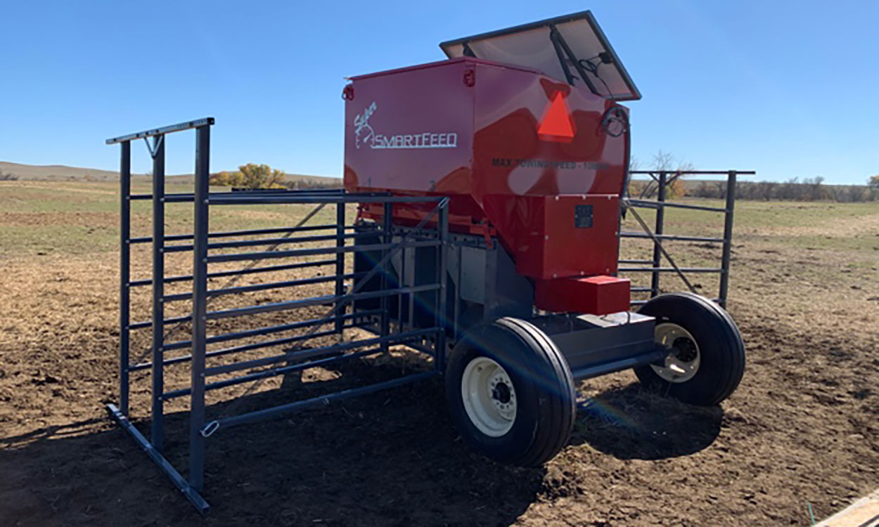 A Super SmartFeed Producer at the SDSU Cottonwood Field Station.