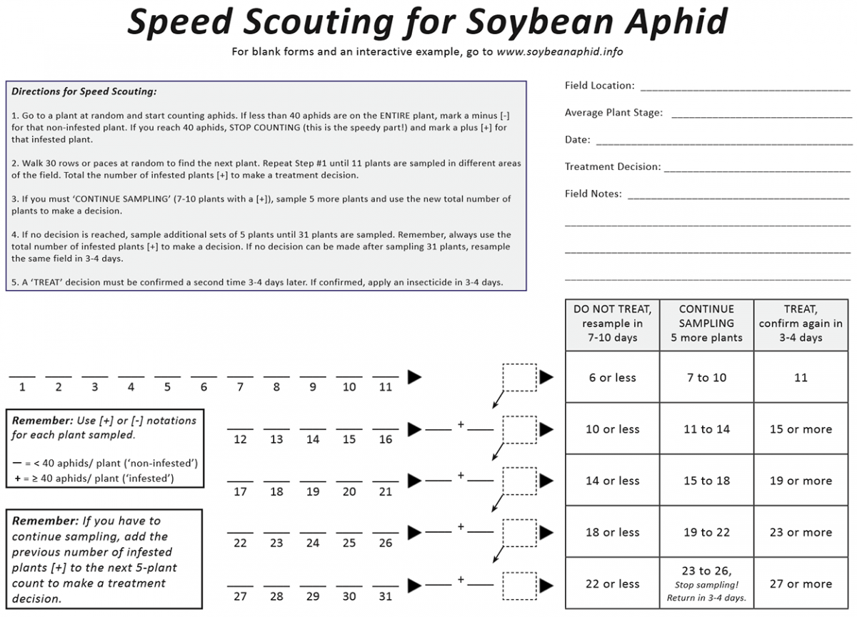 Speed scouting worksheet for soybean aphid management.