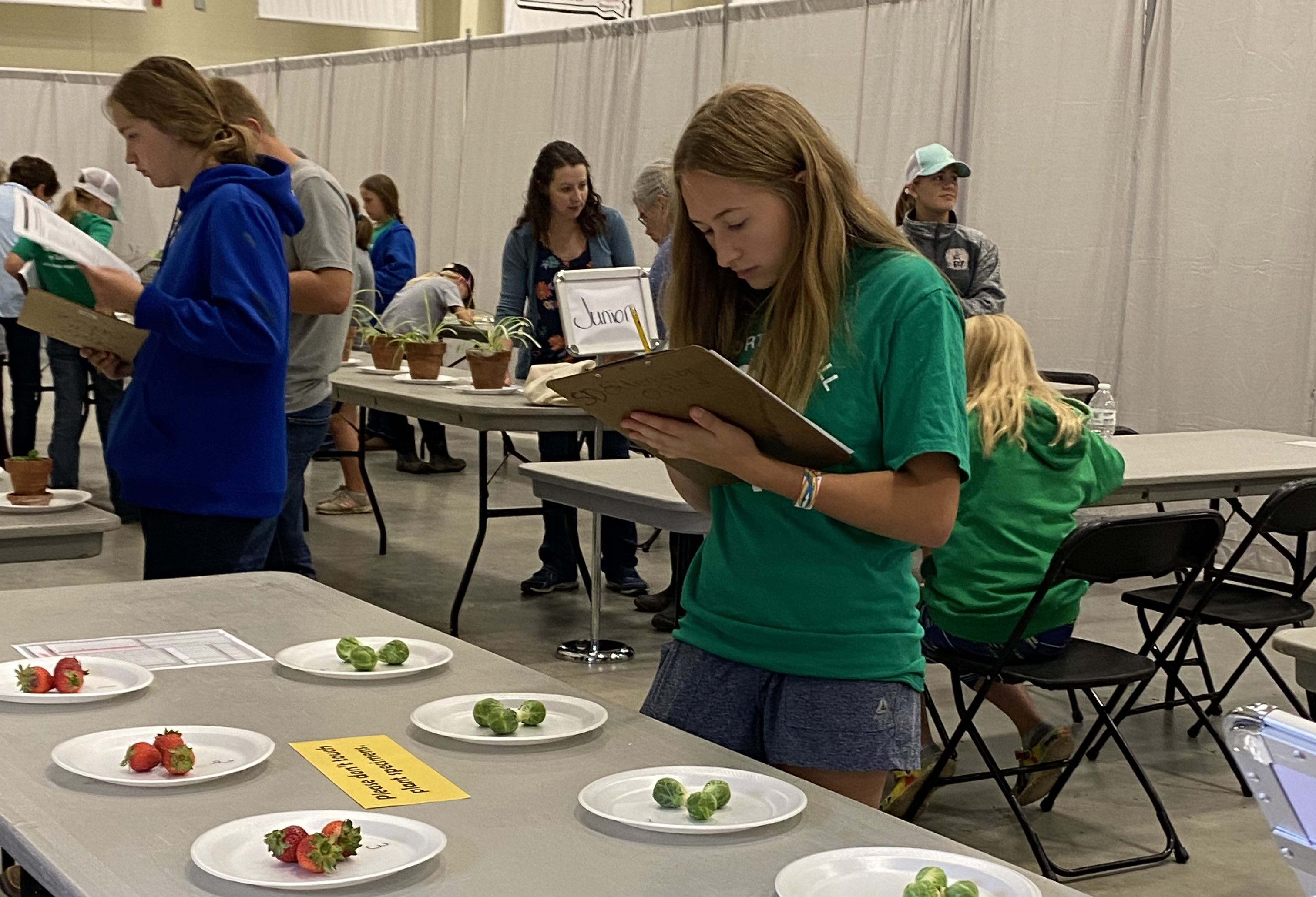 Youth judging fruits, vegetable and plants