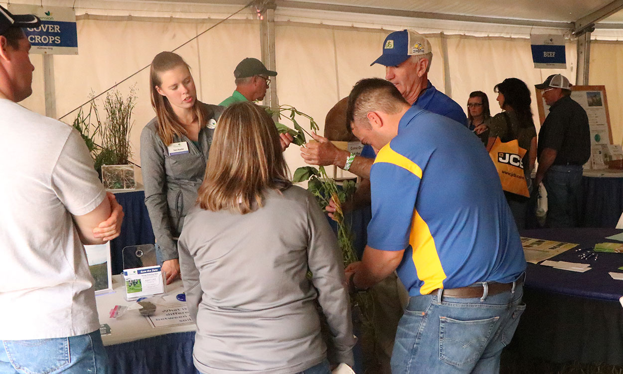 Extension staff analyzing a soybean plant with a stakeholder.