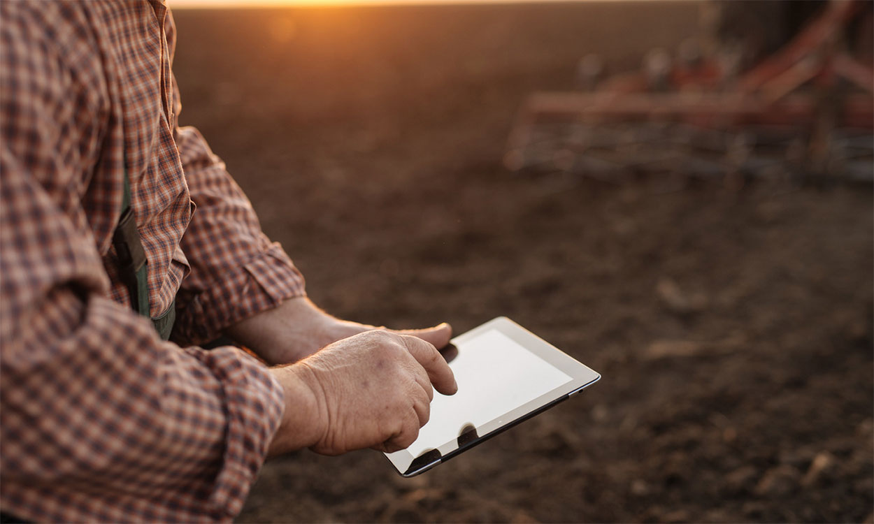 Producer viewing information on a tablet computer in a field.