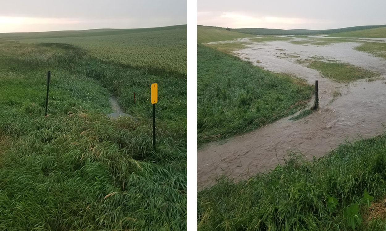 A no-till and conventionally managed watershed side-by-side. The no-till field has dramatically less flooding and runoff.