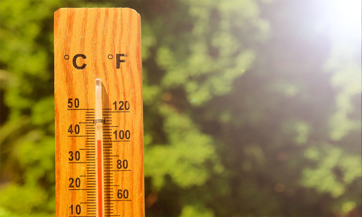 Garden thermometer showing a temperature around 100 degrees Fahrenheit.