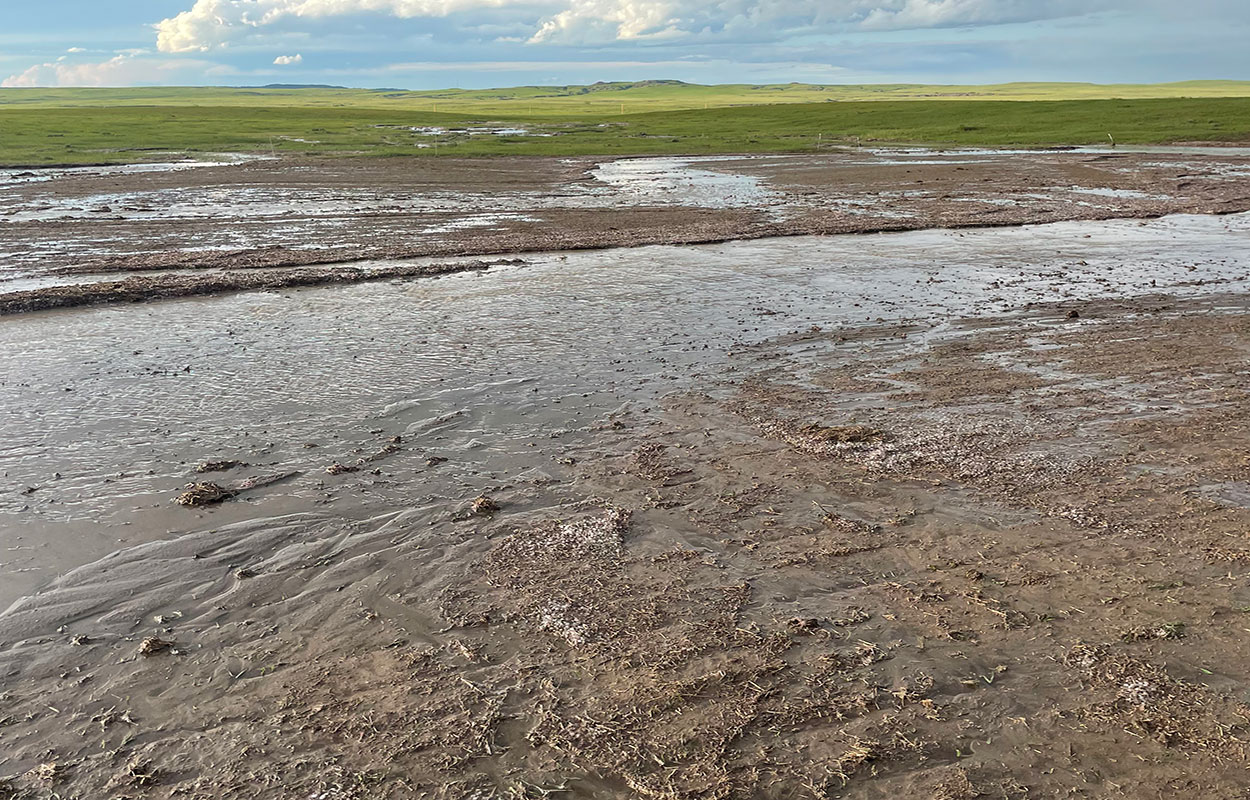 Muddy field with no residual forage exhibiting signs of extreme soil erosion.