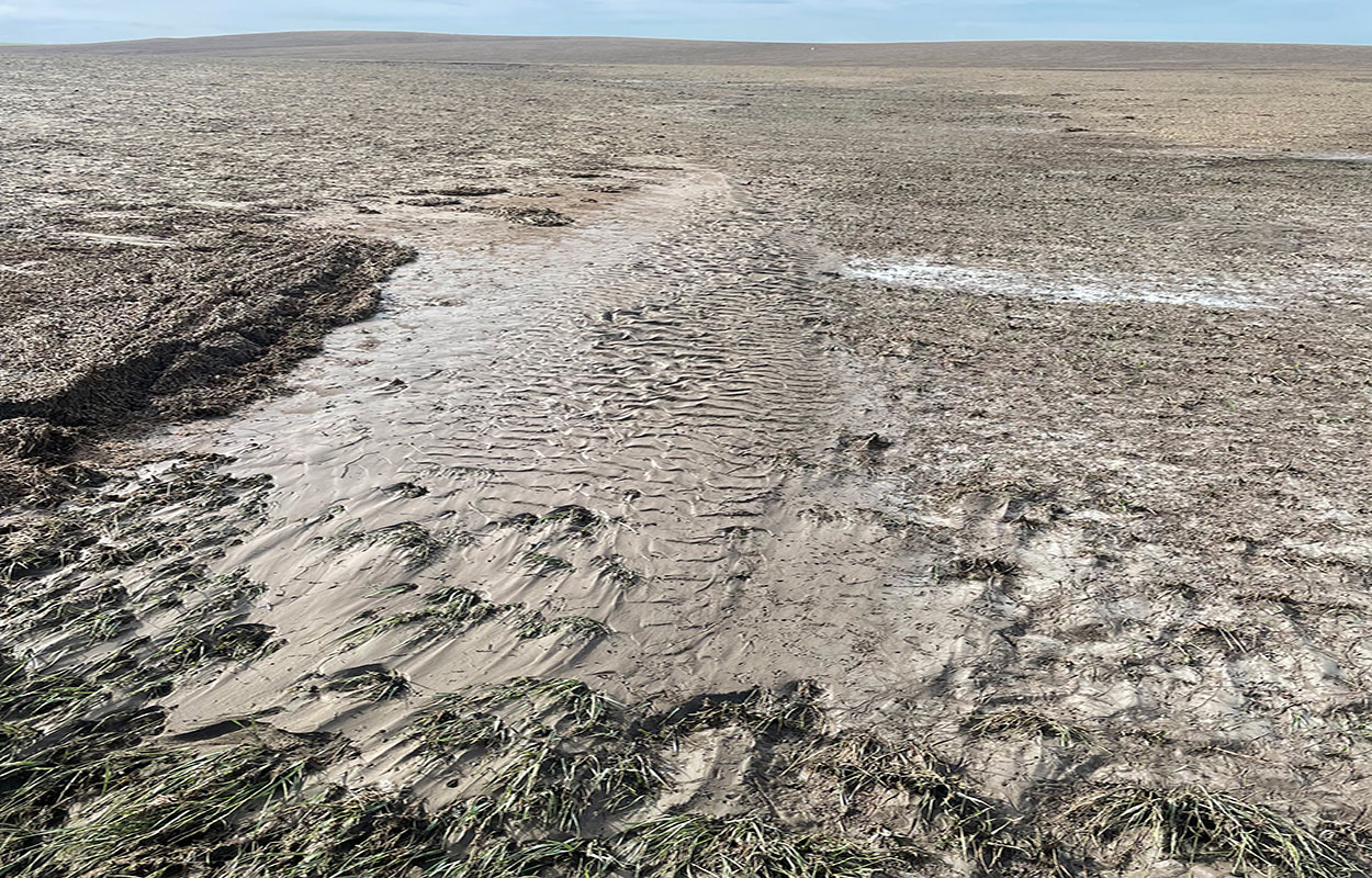 Muddy field exhibiting extreme signs of soil erosion.
