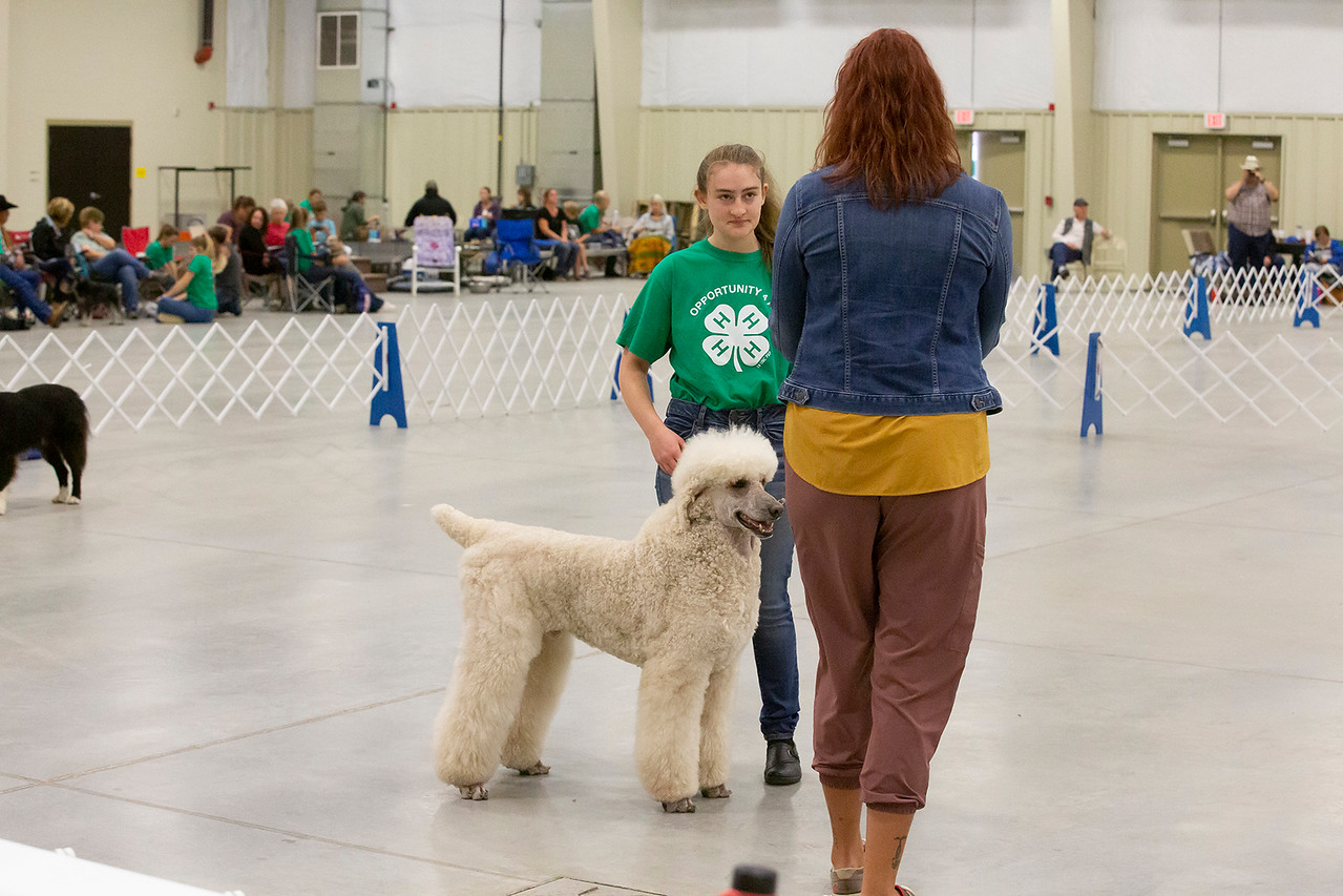 4-H youth being talking with judge during dog show