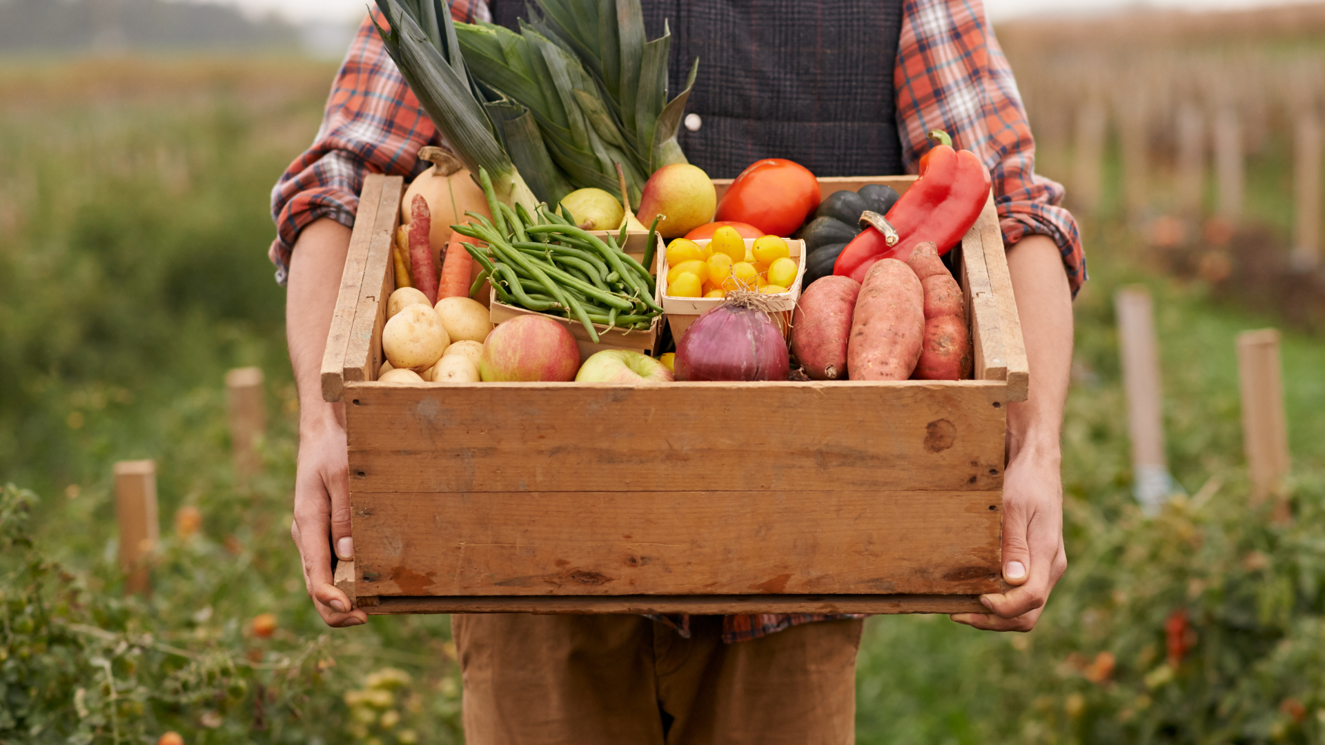 Gardener holding a box of vegetables