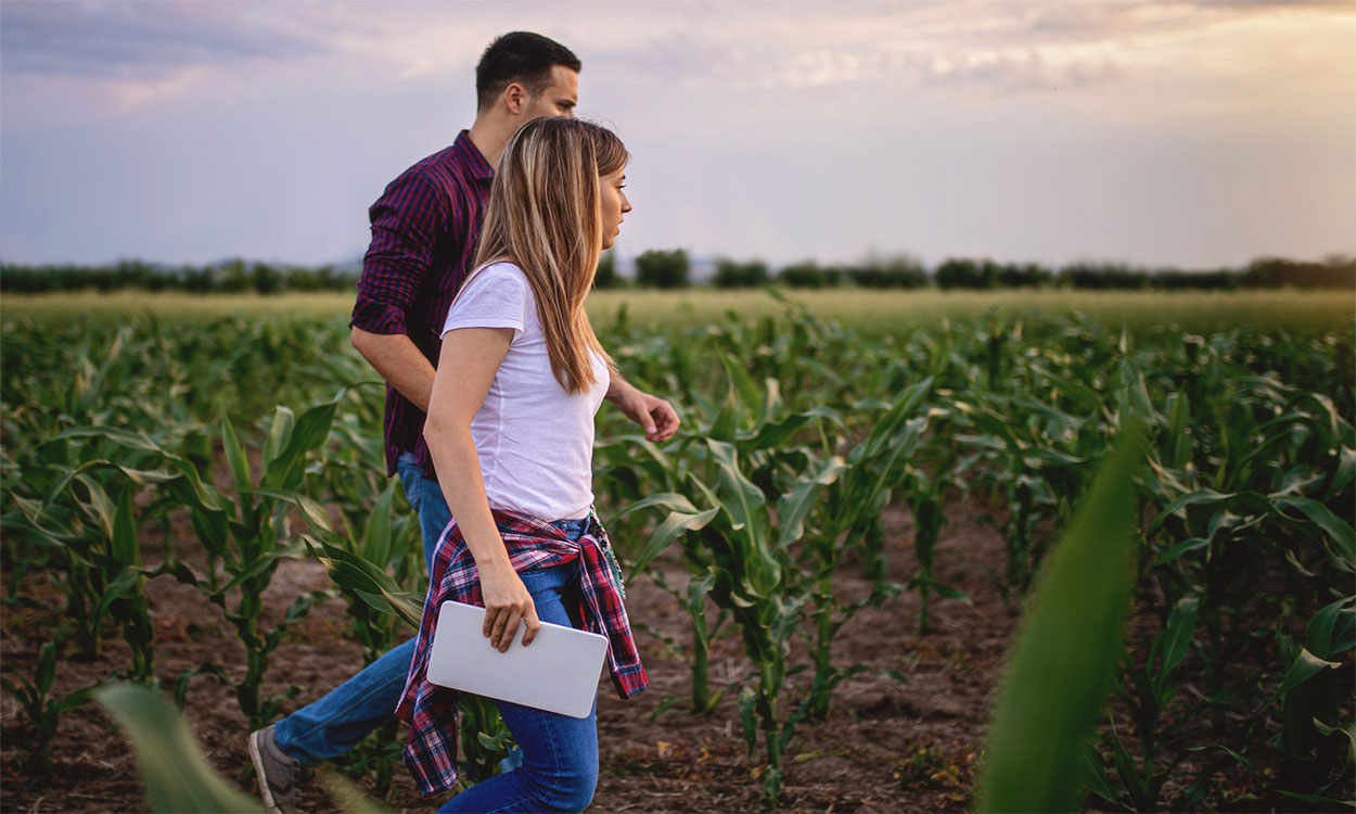 Agriculture students touring a corn farm.