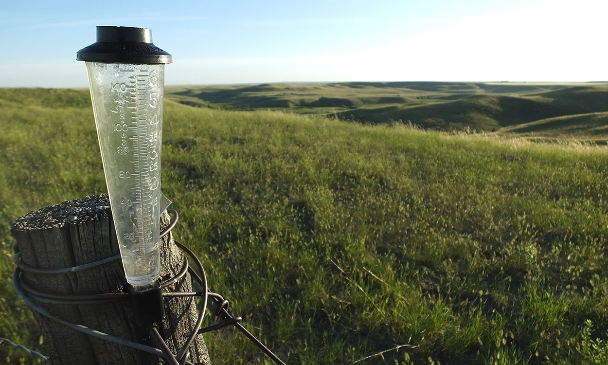 Rain gauge on a fence post along a well-managed rangeland area.