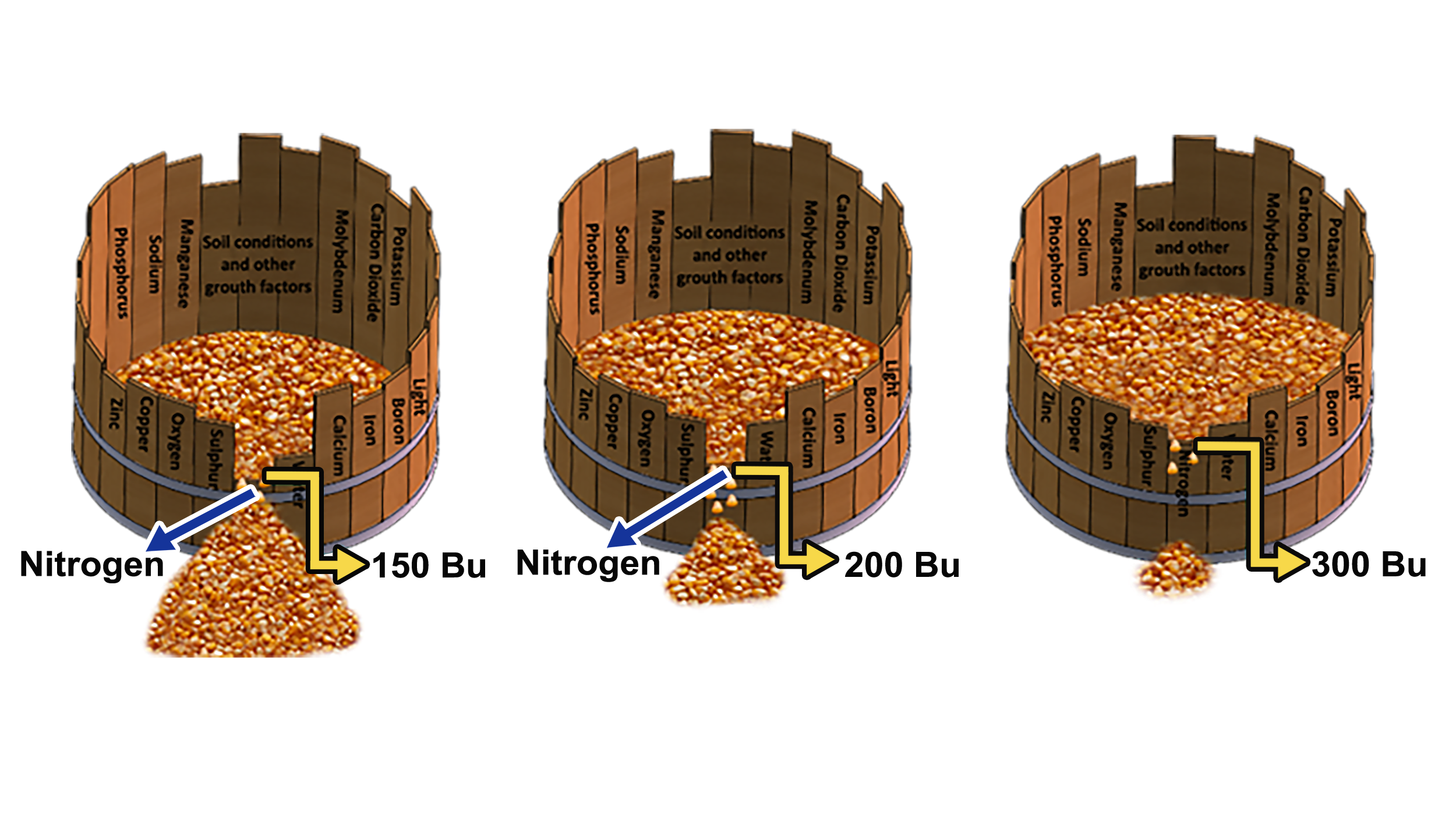 Illustration showing nitrogen levels in relation to grain yield. As nitrogen levels go up, yields increase. For assistance reading this graphic and data set, please call SDSU Extension at 605-688-4792.