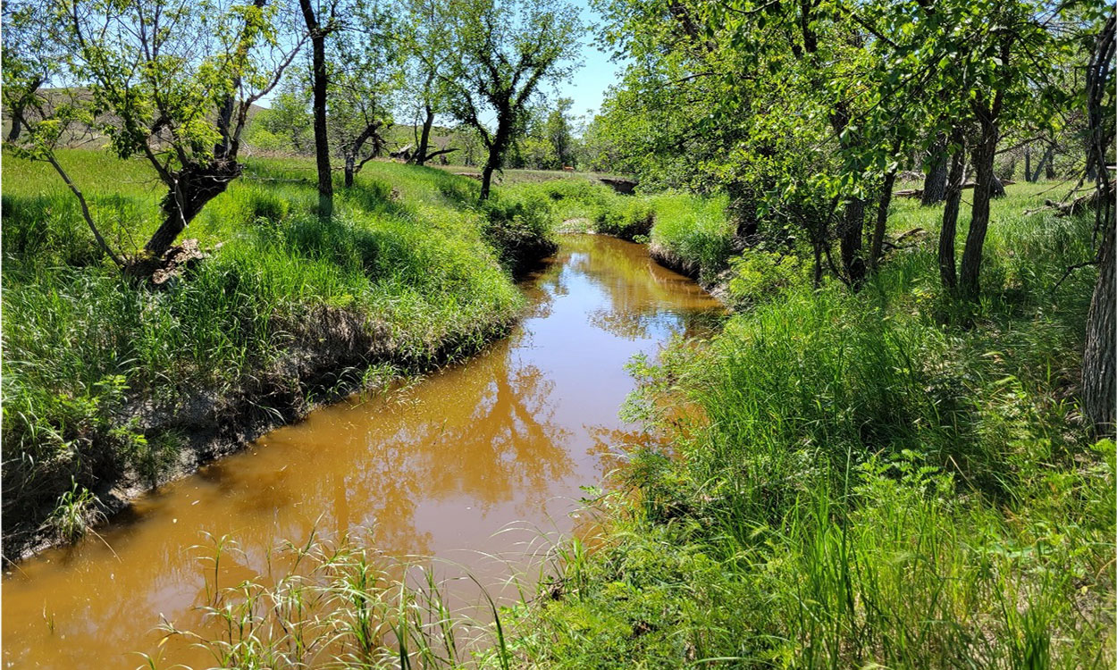 Cottonwood Creek on the SDSU Cottonwood Field Station.