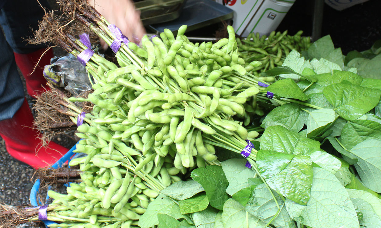Bunches of fresh edamame at a market.