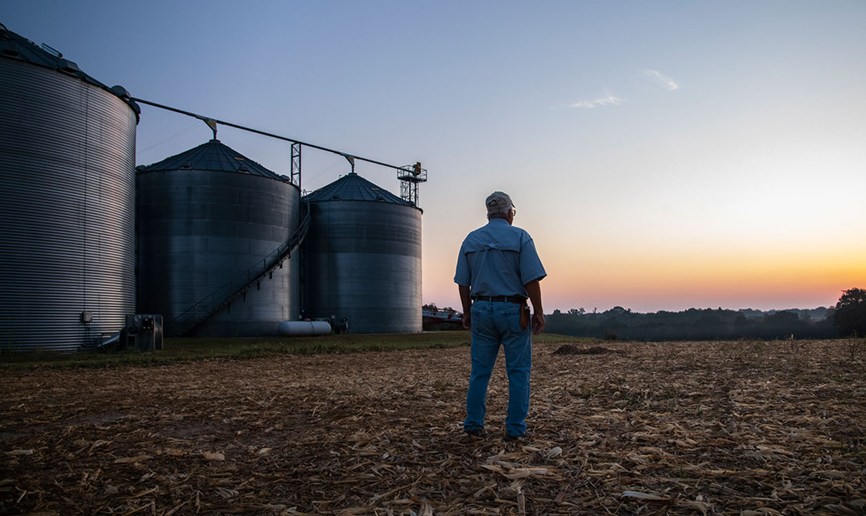 Farmer observing no-till field at sunset.