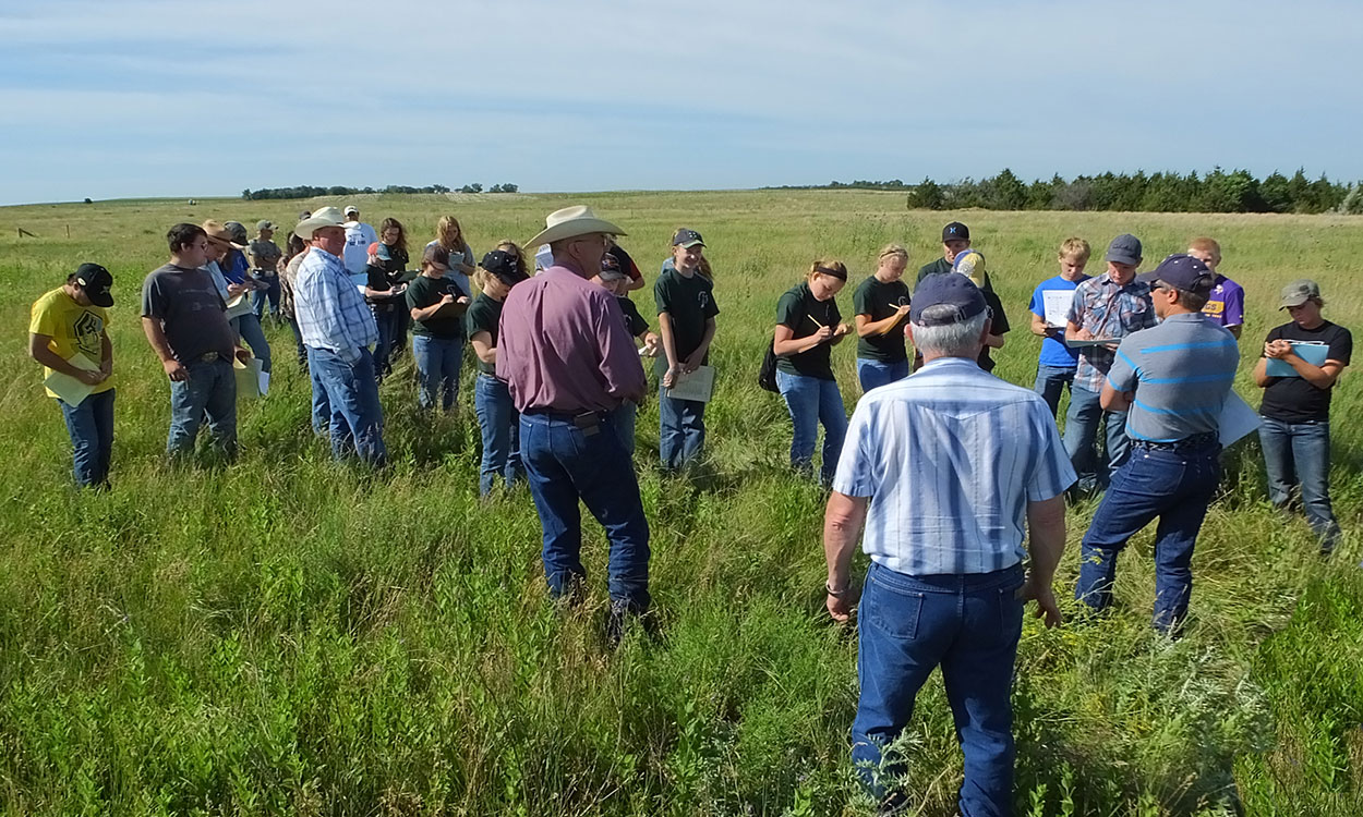 Rangeland and Soil Days attendees observing a grassland area.
