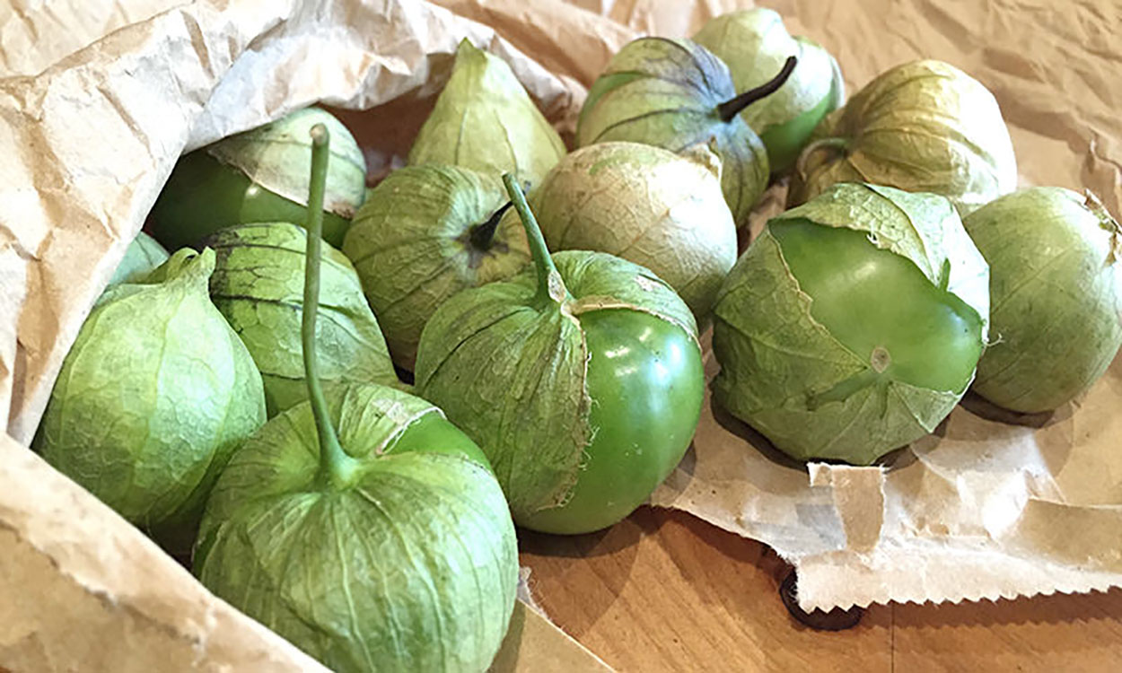 Harvested tomatillos in a brown paper bag.