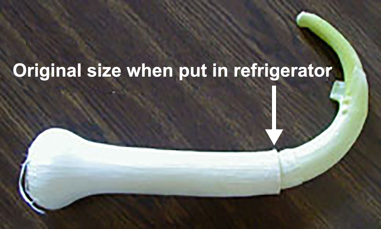 Cleaned leek on a cutting board with storage growth. A white arrow indicated the original size of the leek when it was first put into storage.