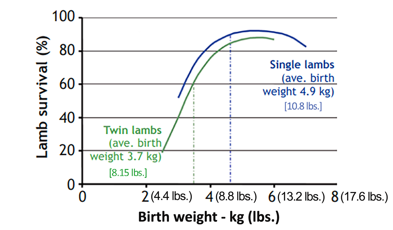 near graph showing the relationship between lamb birth weight and survival. For assistance reading this graphic and data set, please call SDSU Extension at 605-688-6729.
