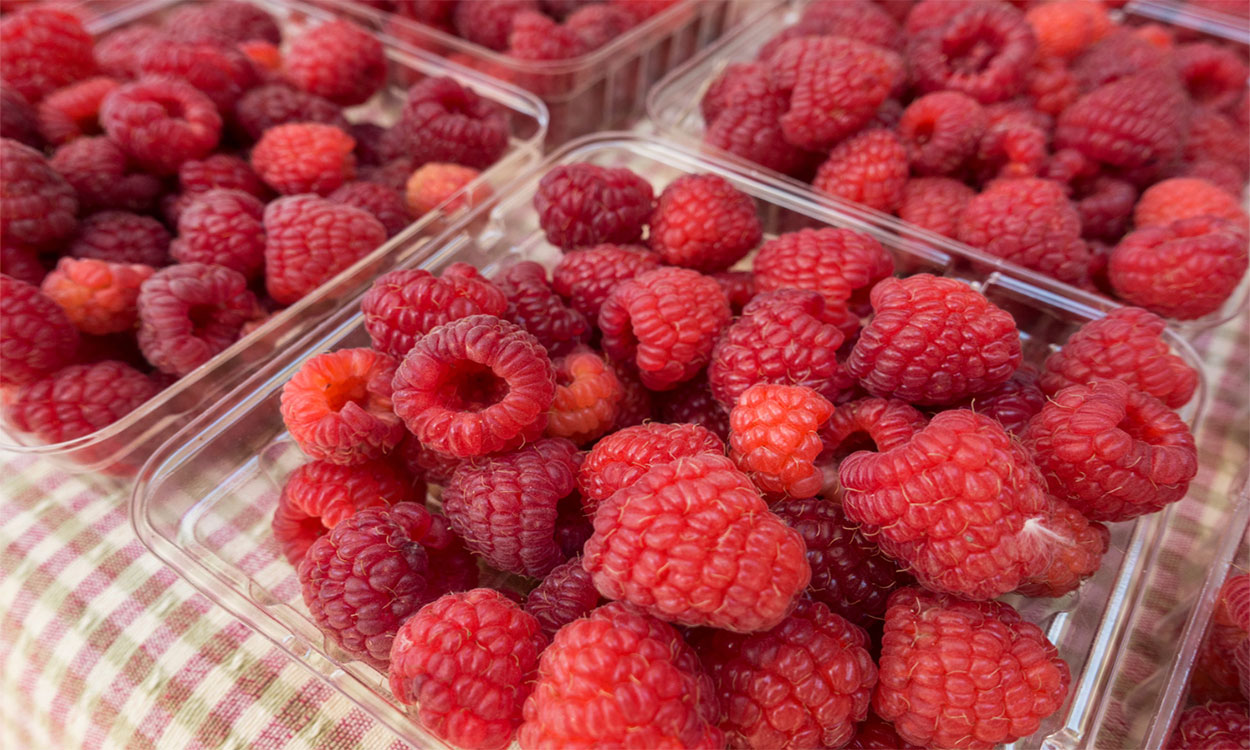 Raspberries: Harvest and Storage