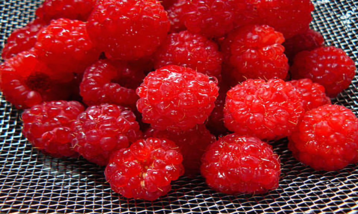 Fresh Raspberries