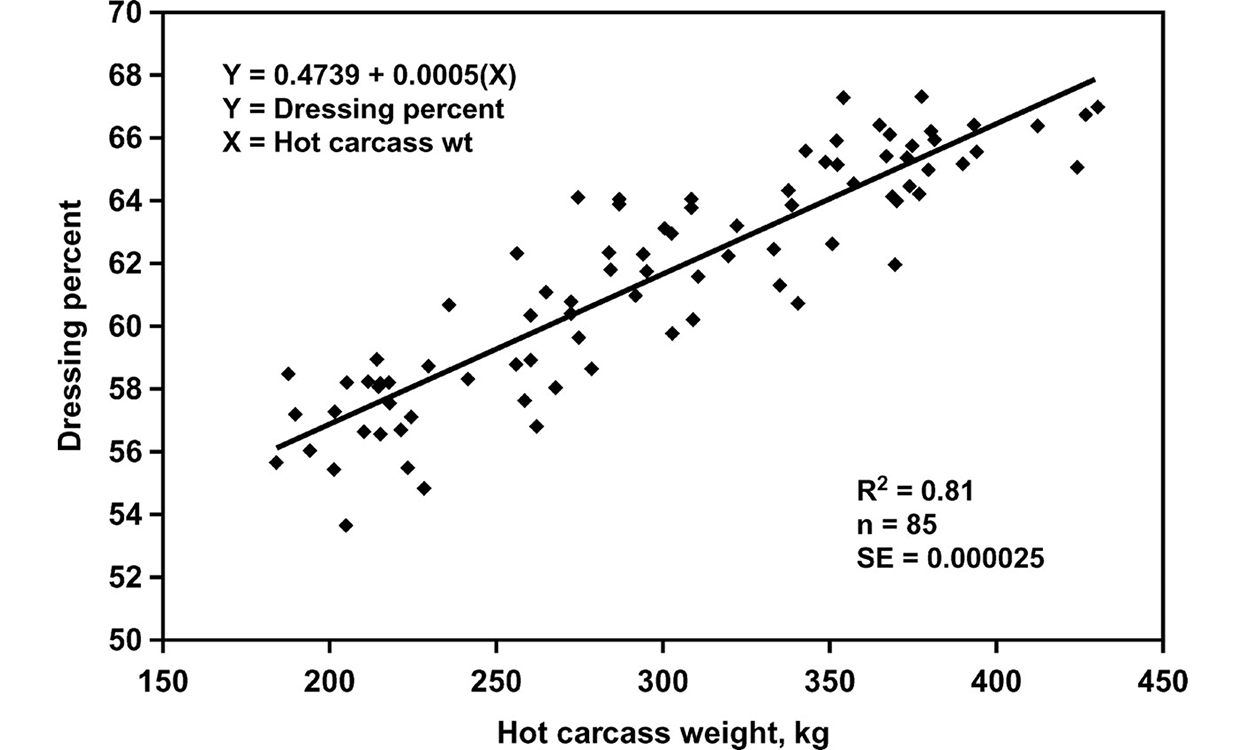 Scatter plot showing dressing percentage in relation to hot carcass weight. For an in-depth description of this graphic and data set, please contact SDSU Extension at 605-688-4792.