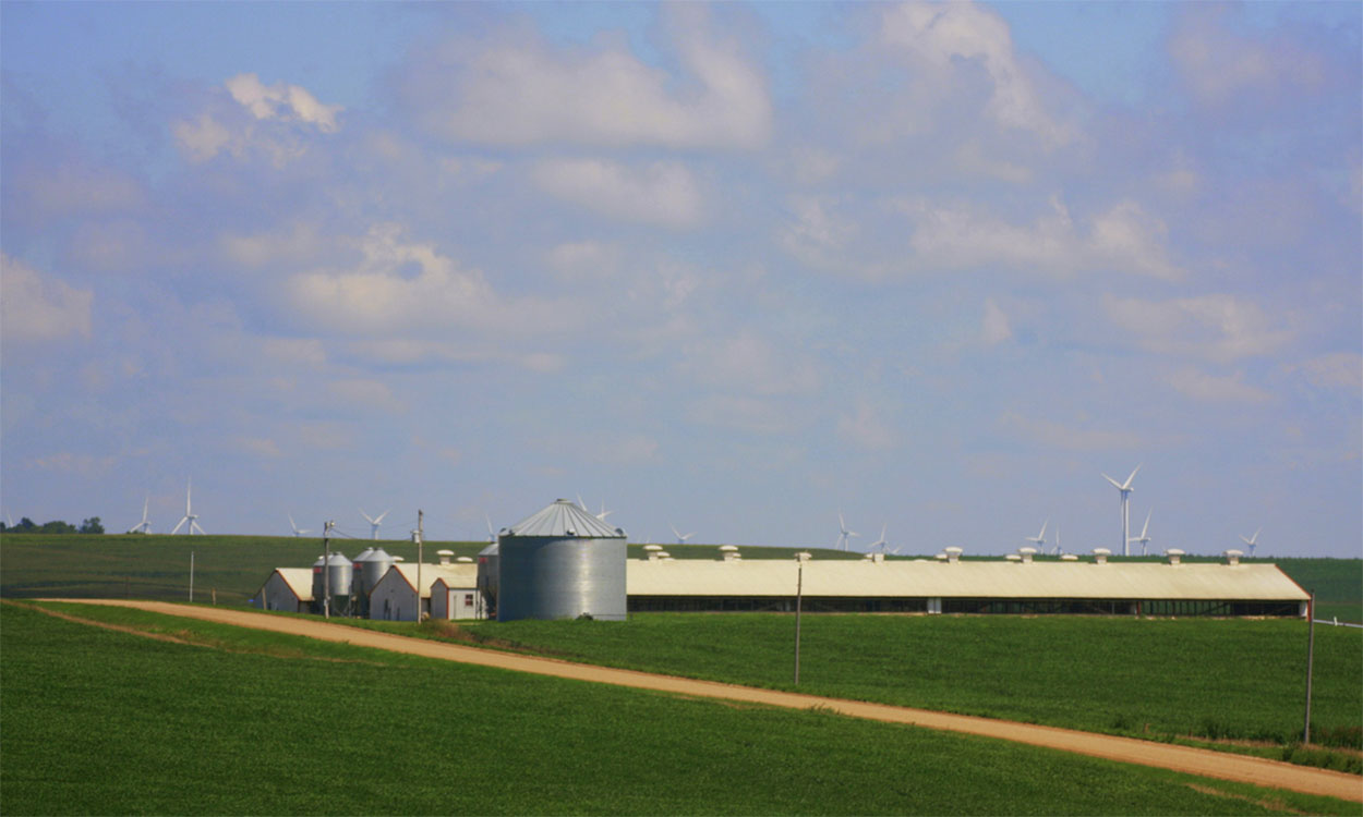 Two hog barns among rolling green fields in the countryside.