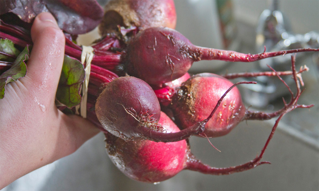 Bunched beets being rinsed in a sink.