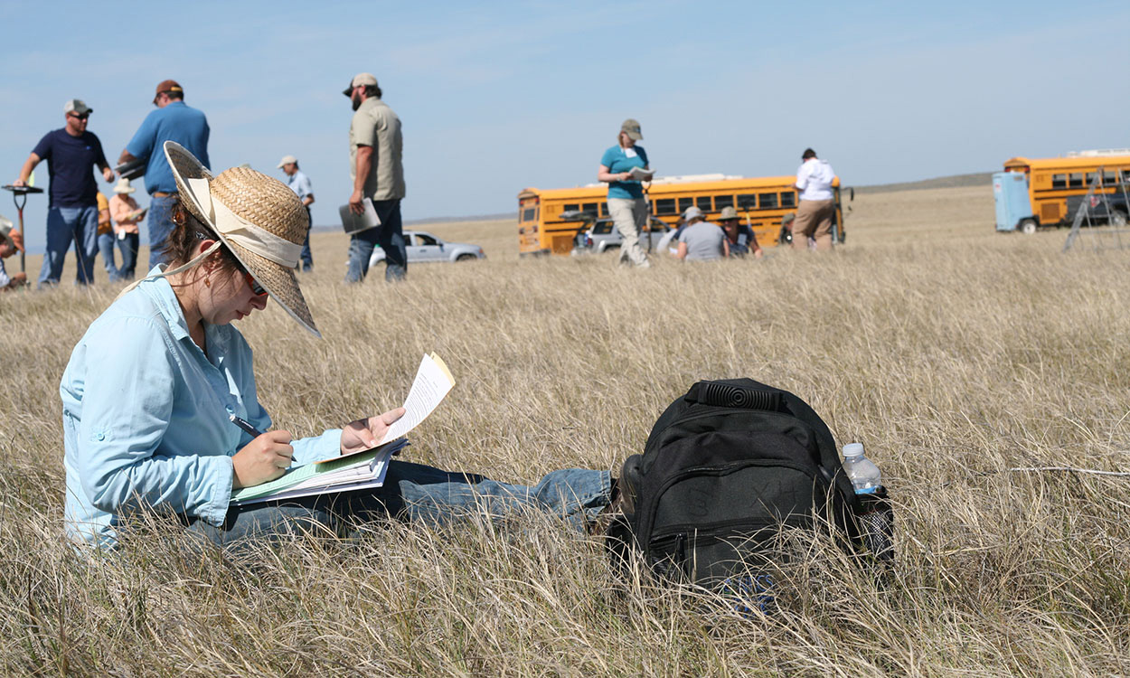 A woman sits in a grassland with a clipboard making notes. More people with notes and buses are in the background.
