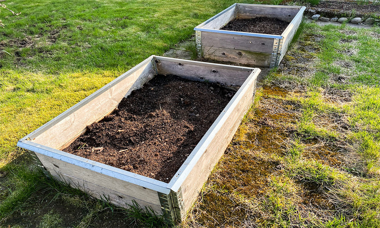 Two raised beds in a garden plot.