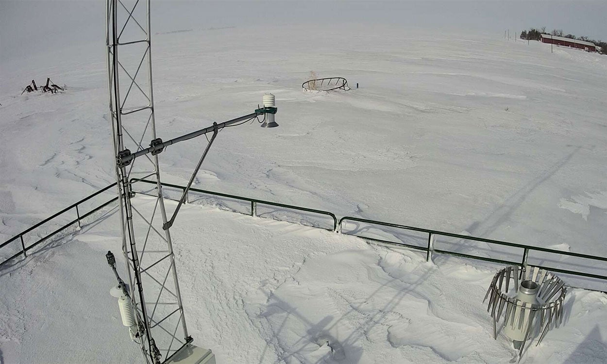 Controlling Salvaging Drought Corn Kick Off August