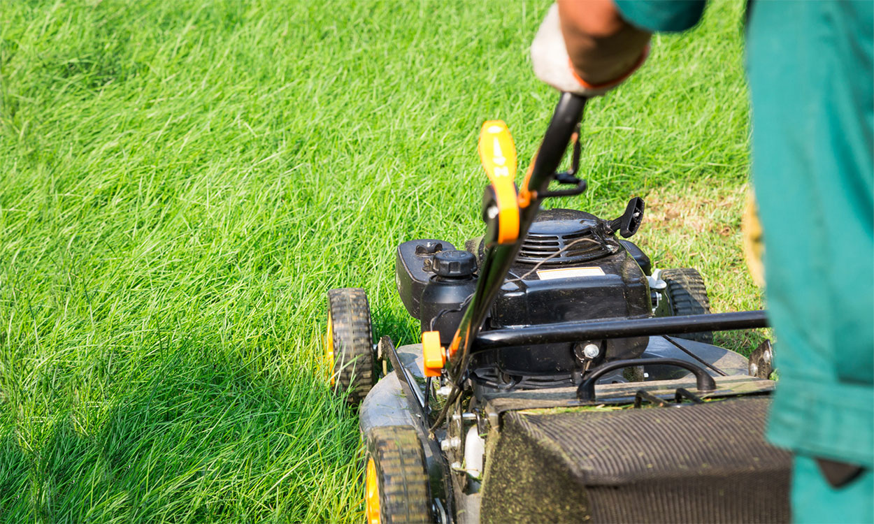 Man using a raised lawn mower to cut grass.