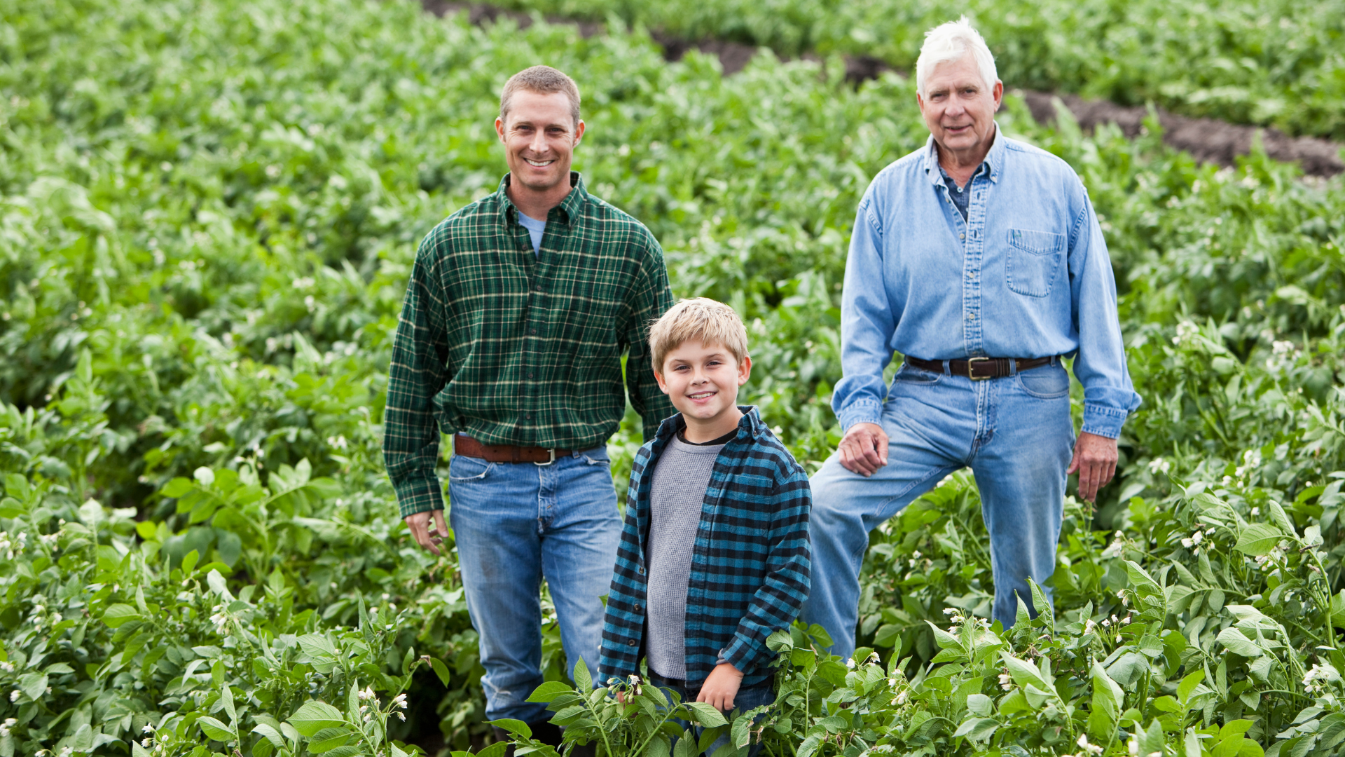 Three generations of a family farm standing in a field