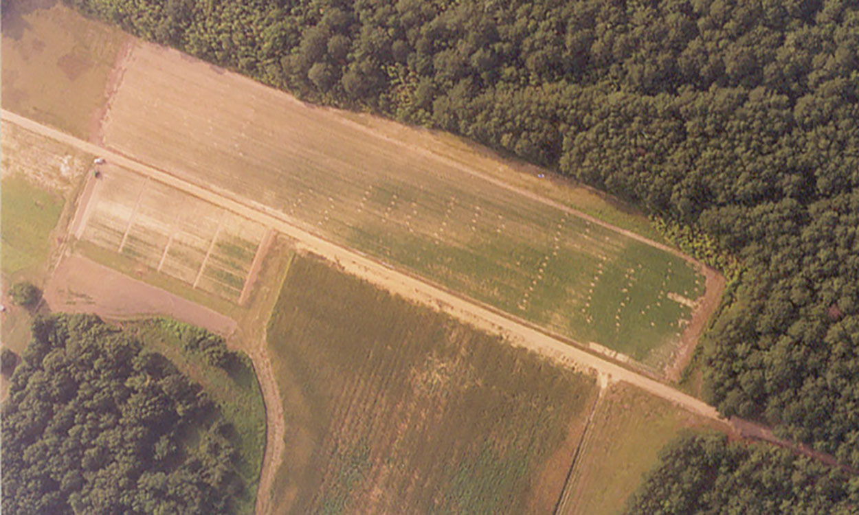 Aerial photo of a field revealing crop productivity within a specified management zone.