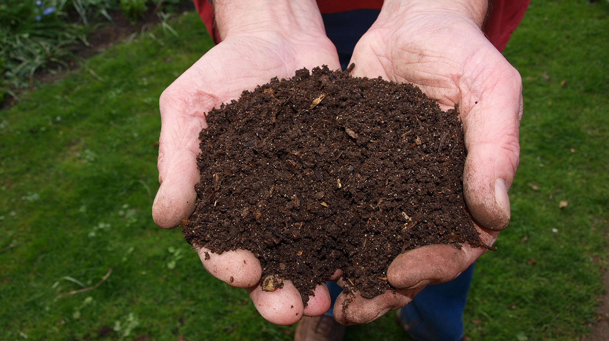 Hands holding a small pile of compost.