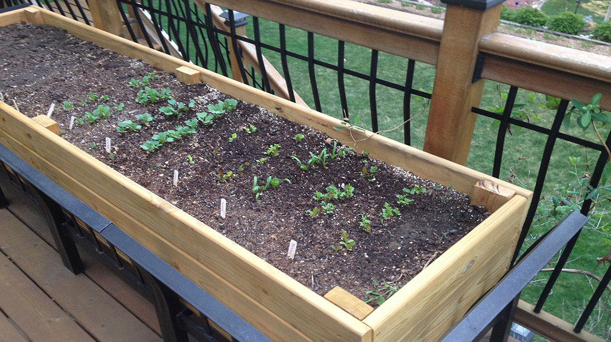 Raised bed garden container.