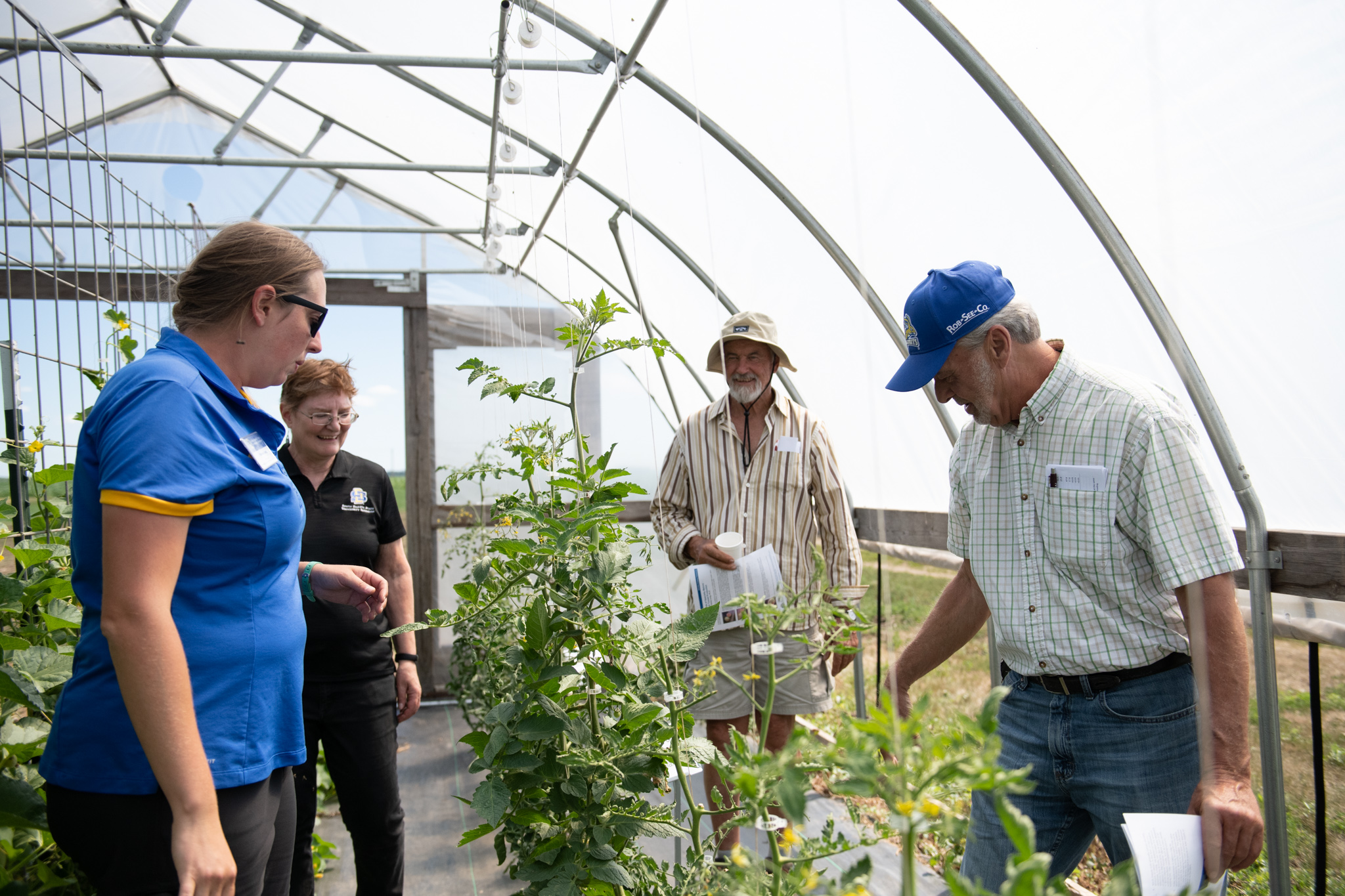 Kristine Lang and Rhoda Burrows look at some plants with two men inside a high tunnel