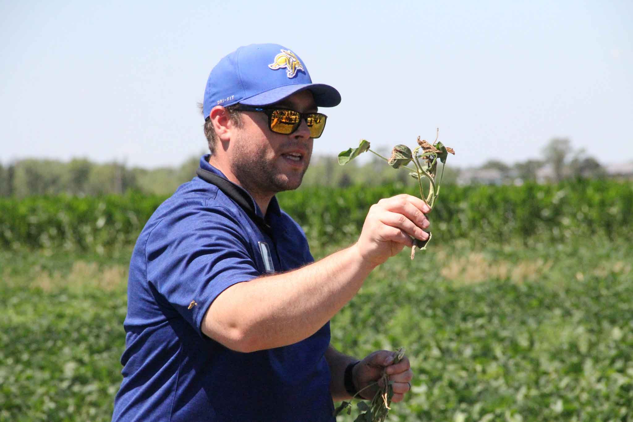 Adam Varenhorst holds up a plant during Southeast Research Farm Field Day. He's wearing a blue shirt, baseball cap and sunglasses and is standing in a green field