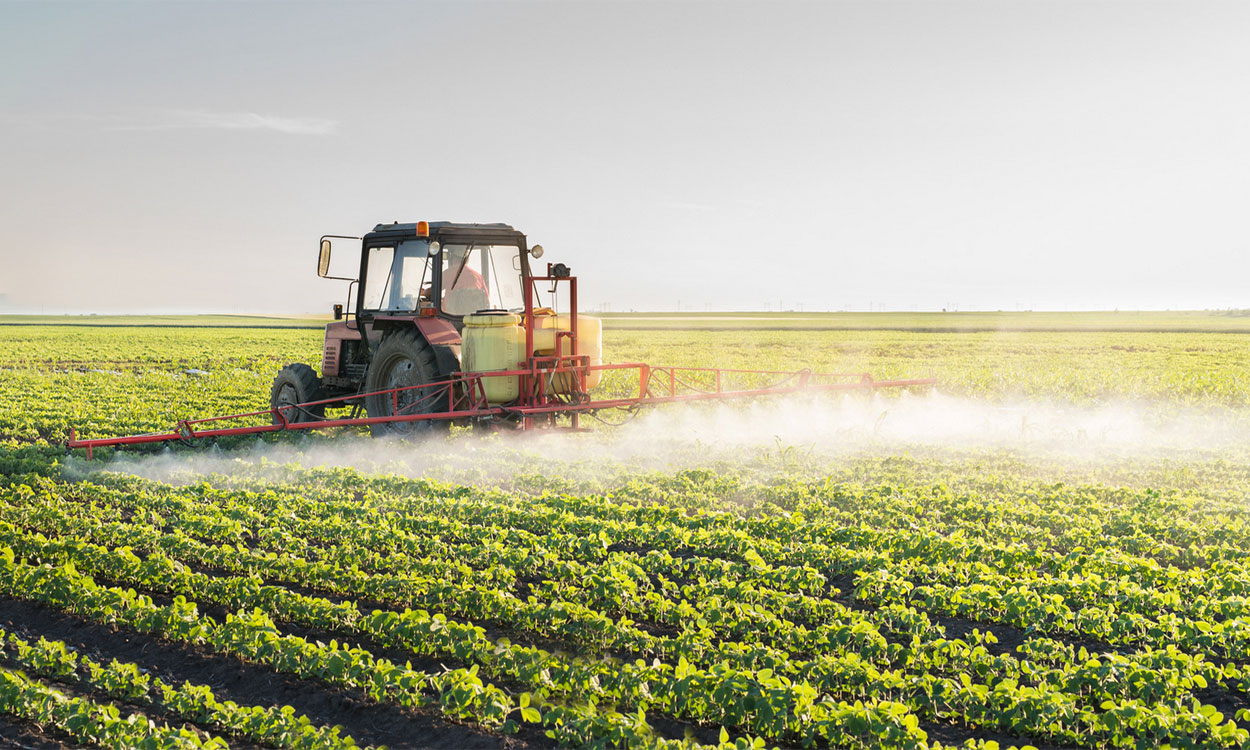 Tractor with sprayer applying postemergence herbicide to soybeans.