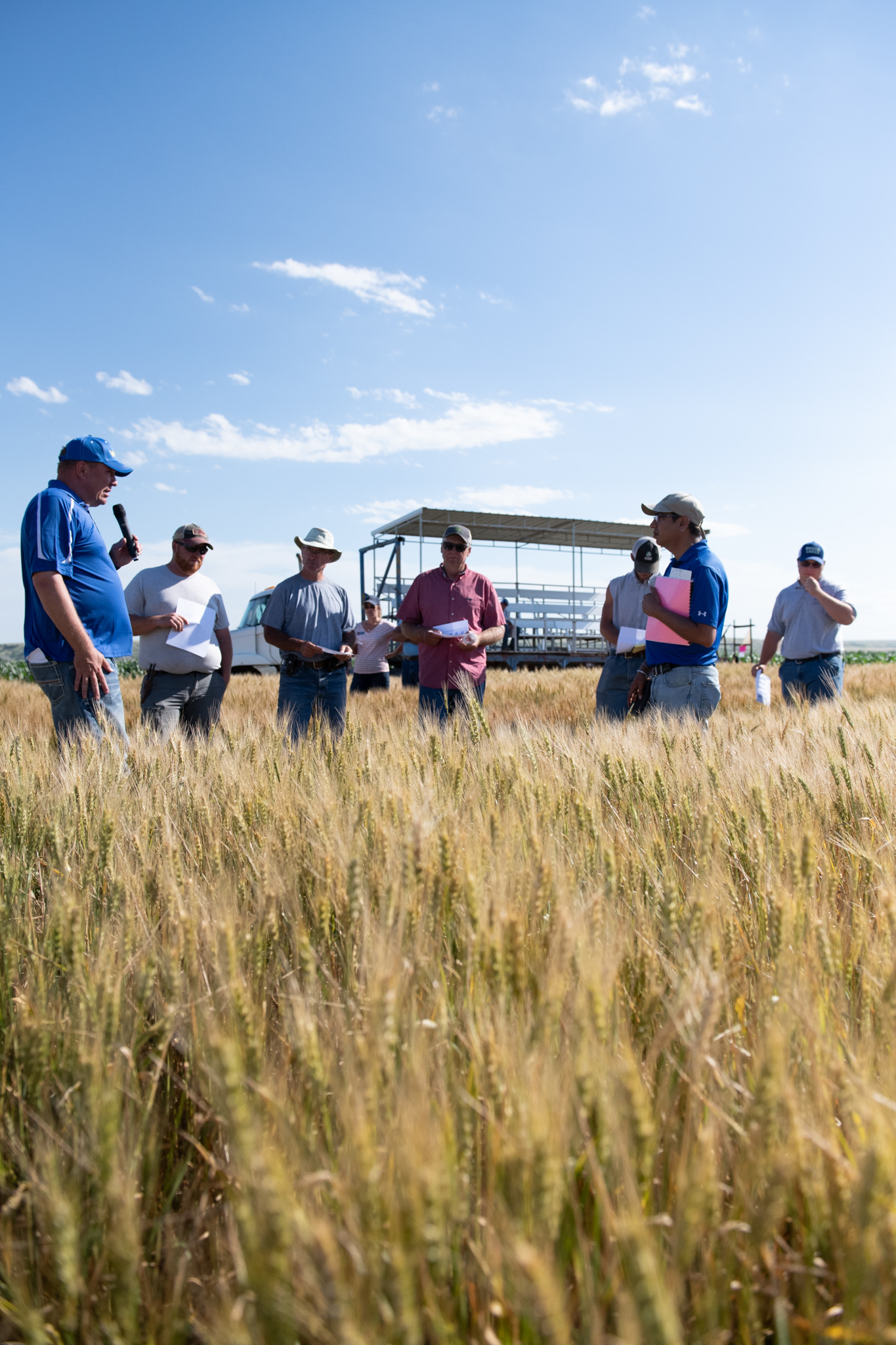 A man in a blue shirt speaks to six people standing in a field, with the forage in the foreground.